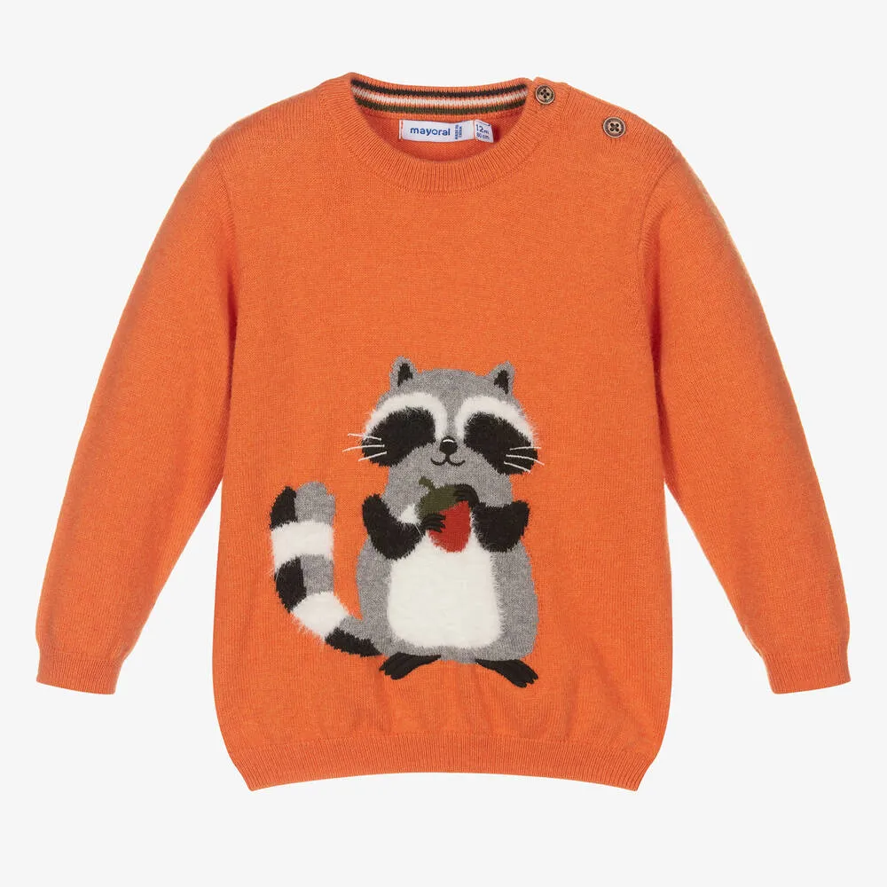 Boys Orange Raccoon Sweater