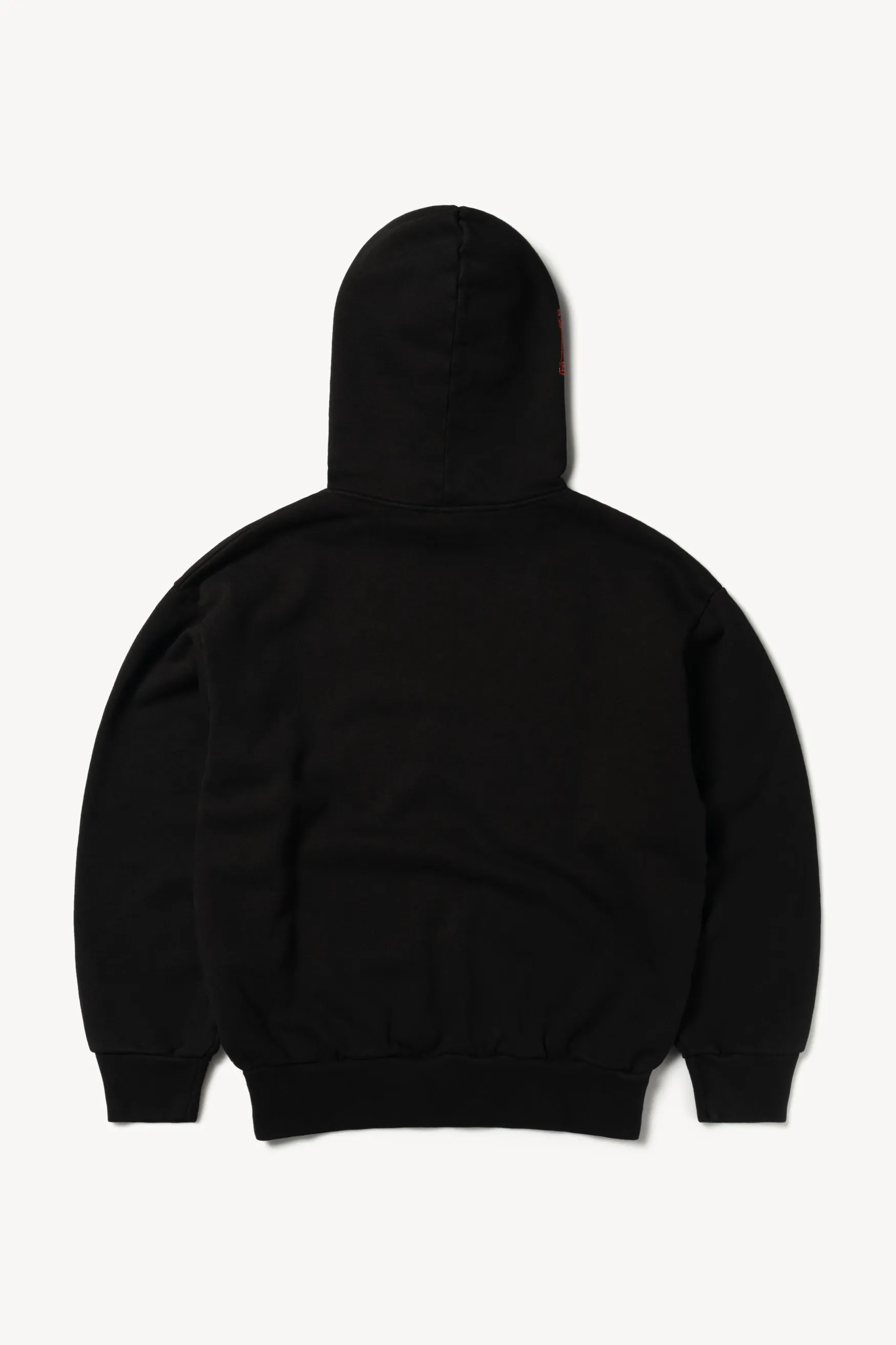 Crystal Temple Hood Premium Hoodie