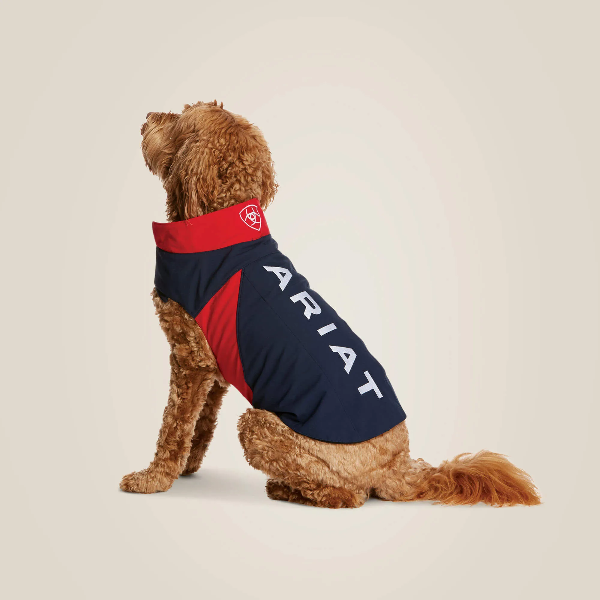 Team Softshell Dog Jacket